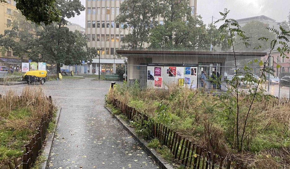 Du gravier remplacera le gazon