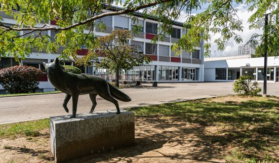 Le Renard jouera les prolongations