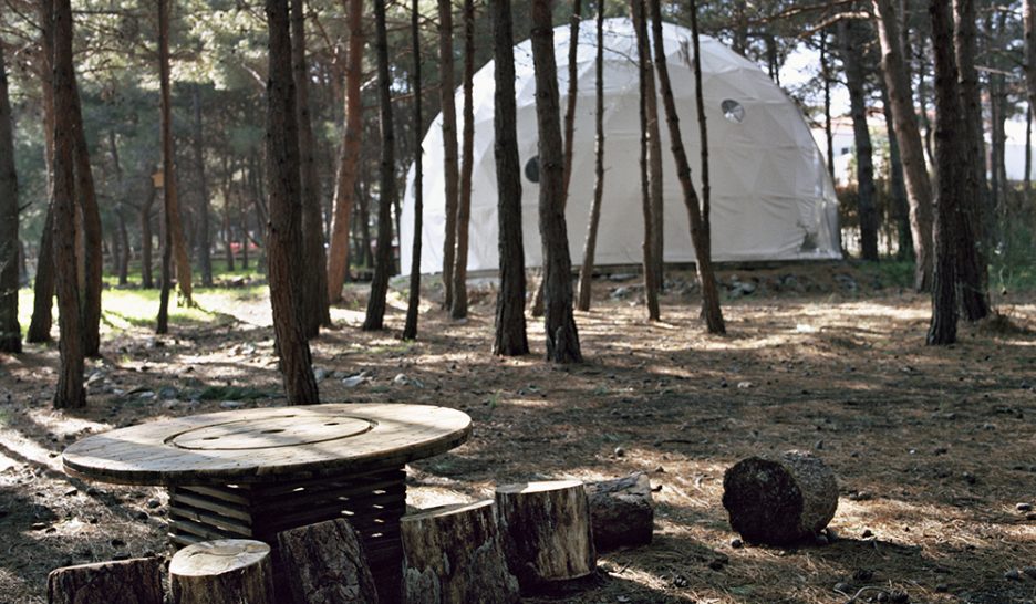 Solidaires élans hellènes