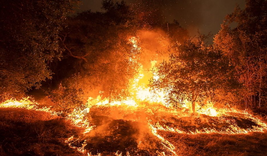 Trump, bouc émissaire des incendies