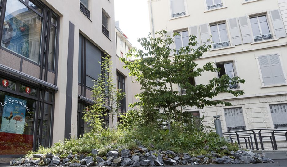 Biodiversité à l’honneur