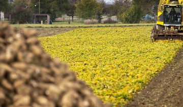 Demande de réintroduction d’un pesticide