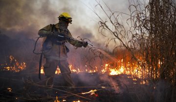 Des incendies sans précédent