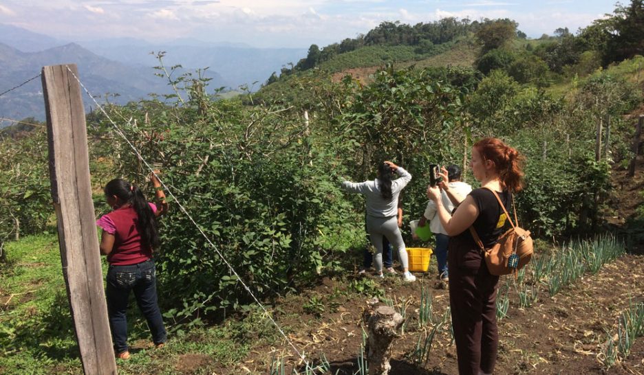 La coopération crève l’écran