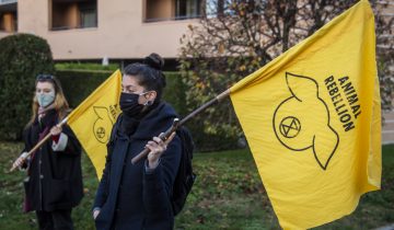 Antispécistes: Nyon interdit une manifestation