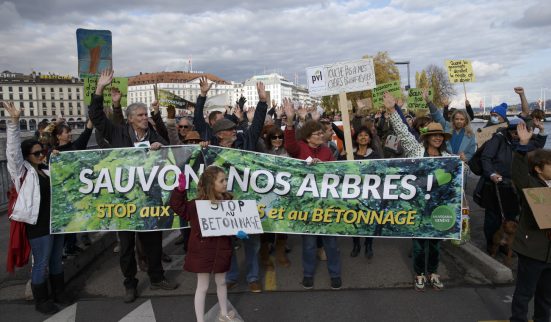 Arbres: pas de hausse massive des abattages