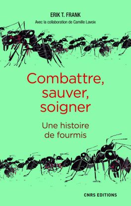Fourmis secouristes