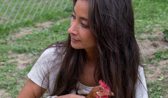 La cause animale devant la justice