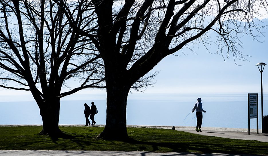 Chute d'un arbre à Vevey: le procureur abandonne les accusations