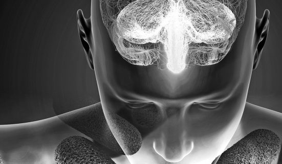 Alzheimer, le fruit de nos entrailles?