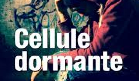 Le Roman des Romands à Christian Lecomte