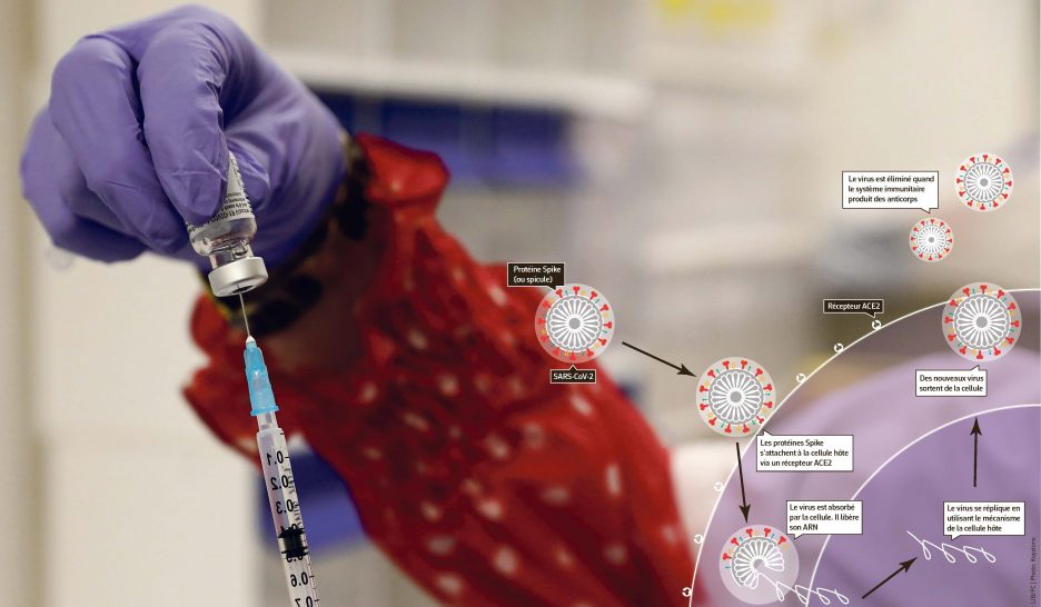 L’énigme du virus en partie levée