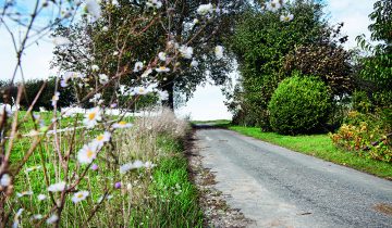 Sur les traces du poète 3