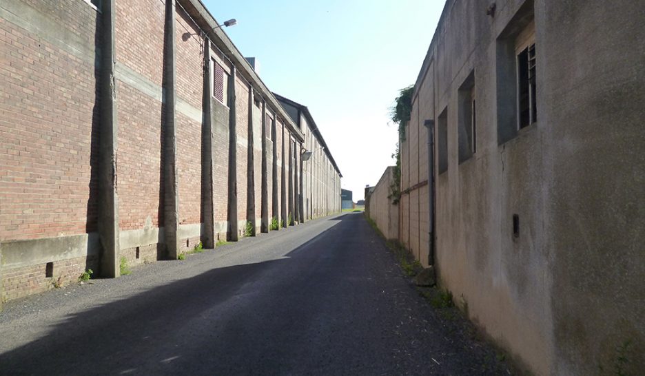 Enchanter l’adversité