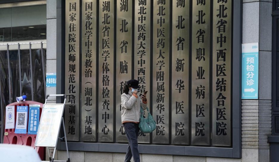 Ils ont dompté le Covid