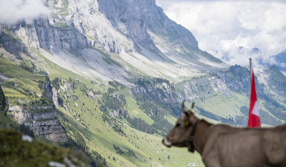 Le Conseil fédéral invité à renforcer ses efforts