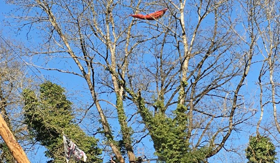 La ZAD du Mormont en cours d'évacuation 26