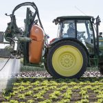Pesticides? Non merci
