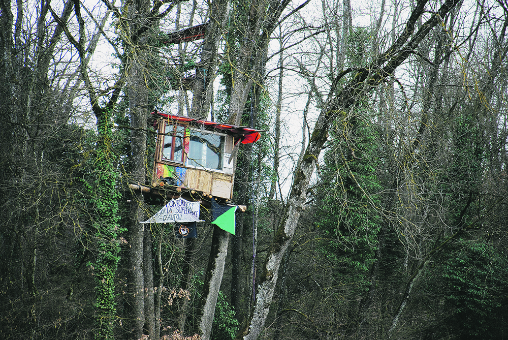 Zone à désirer! 1