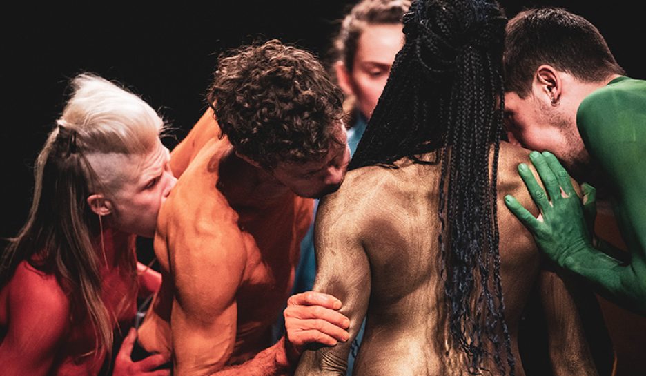 L’animal social par Nicole Seiler