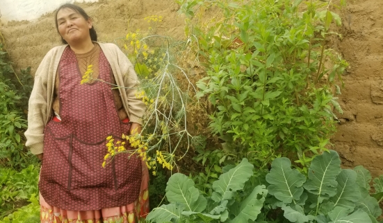 Les jardins de l'émancipation 1