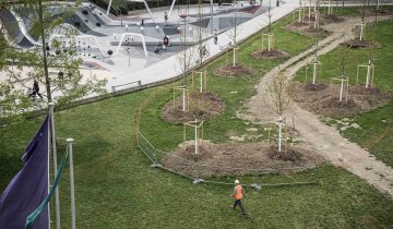 Trois fois plus d’arbres plantés en 2020-21 1