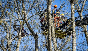 Un des zadistes a chuté d'un arbre