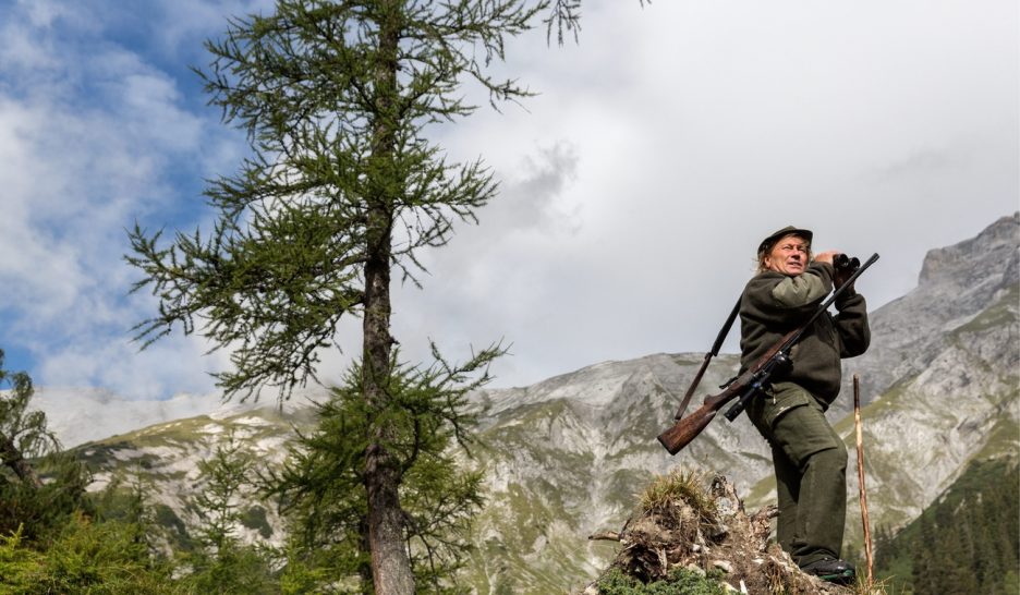 Chasse en ligne de mire