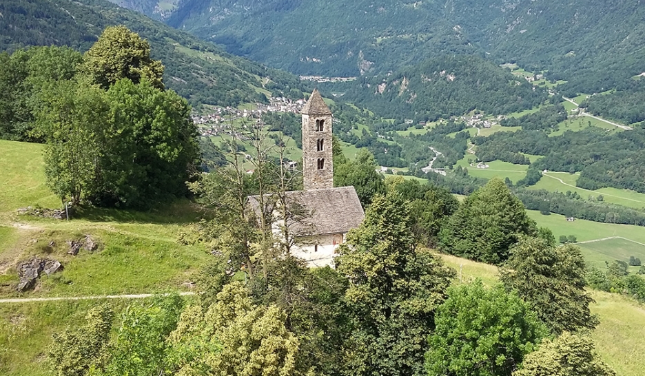 Dans les pas du félice