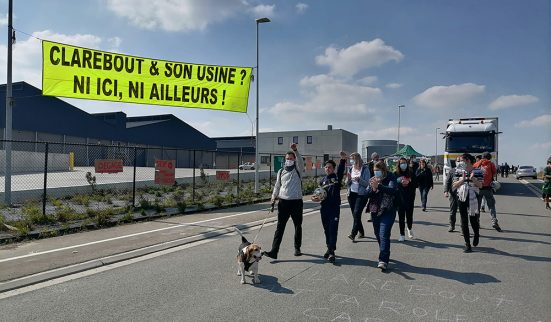 Les pommes de terre de la colère