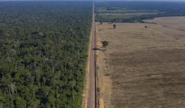 La forêt amazonienne bascule