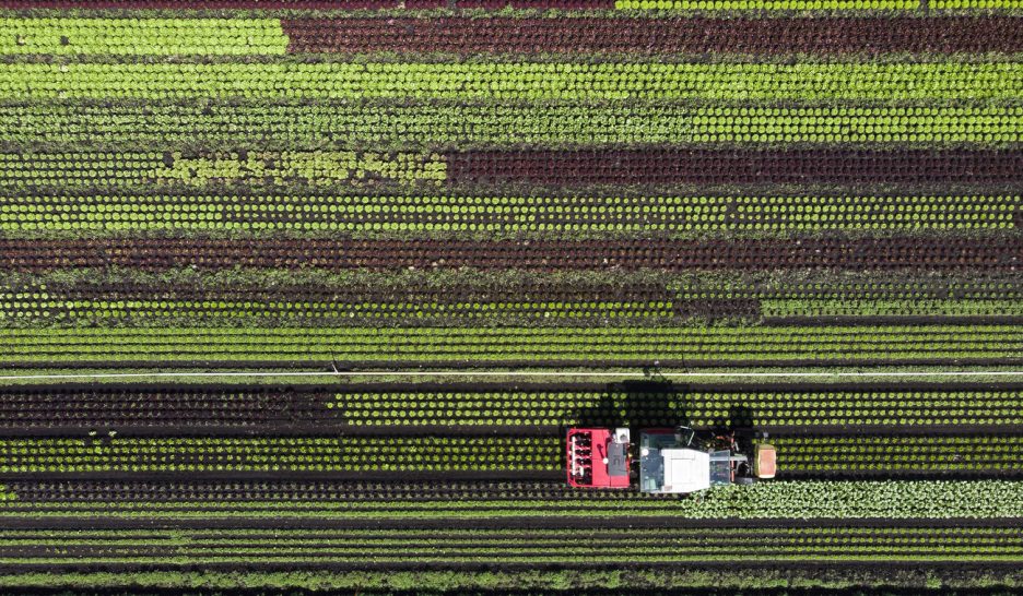 Les deux initiatives anti-pesticides refusées