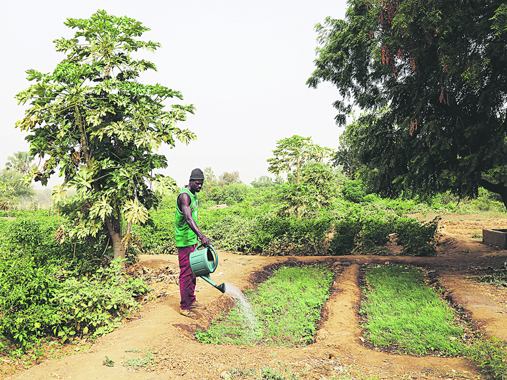 Les germes d’une autre agriculture 1