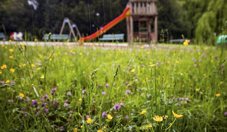 Pollution à la dioxine, résultats publiés cet été