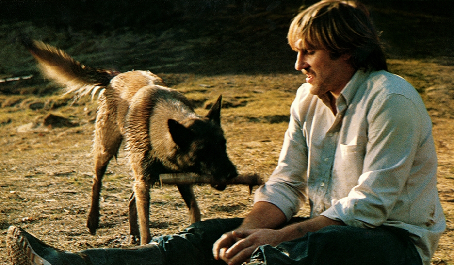 Demain les bergers allemands