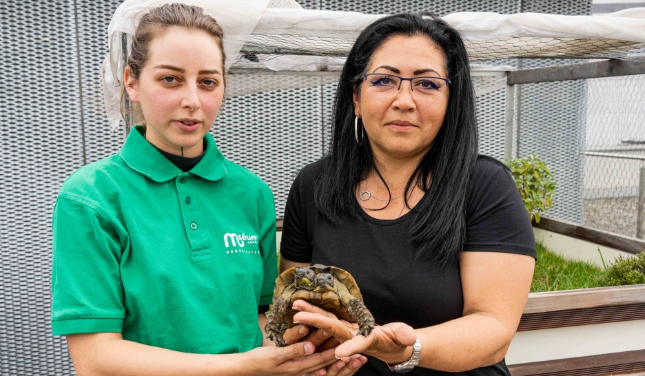 Deux soignantes pour deux têtes