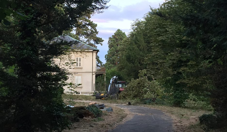 L’abattage d’arbres a débuté