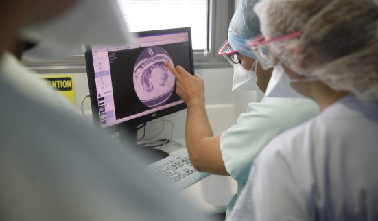 La France déclenche son «plan blanc»