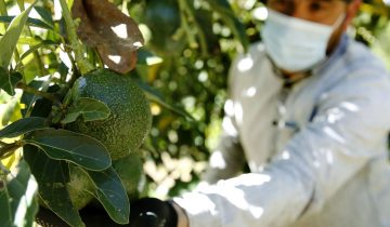 L’alimentation mondiale mobilise