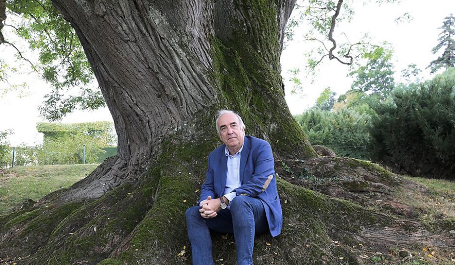 «L’arbre a une histoire passionnante»