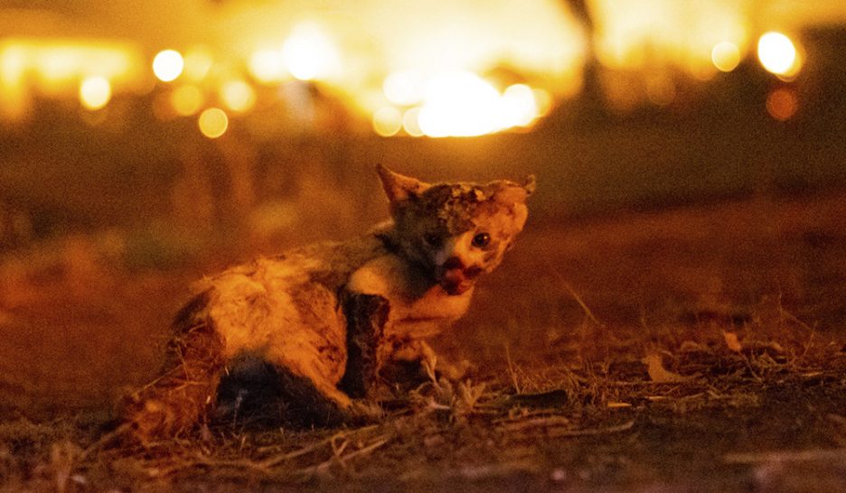 Le changement climatique s'accélère, «alerte rouge» pour l'humanité