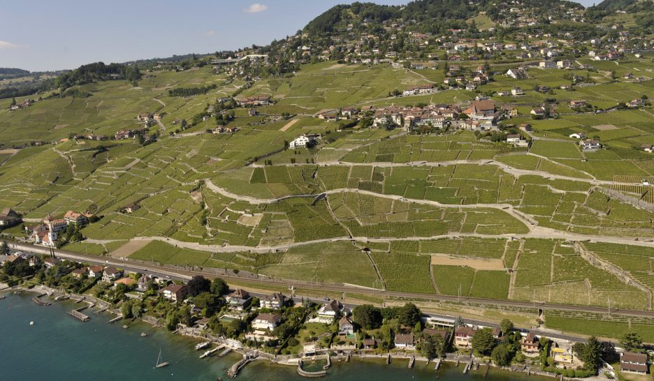 Un écrin de rêve pour la Maison Lavaux