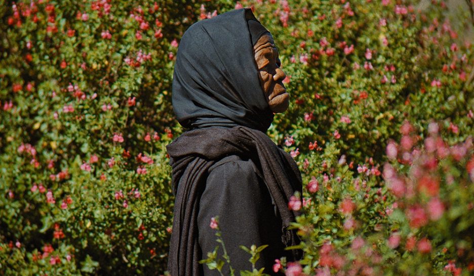 Visions du monde par écrans interposés