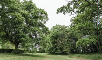 Les Feuillantines font débat