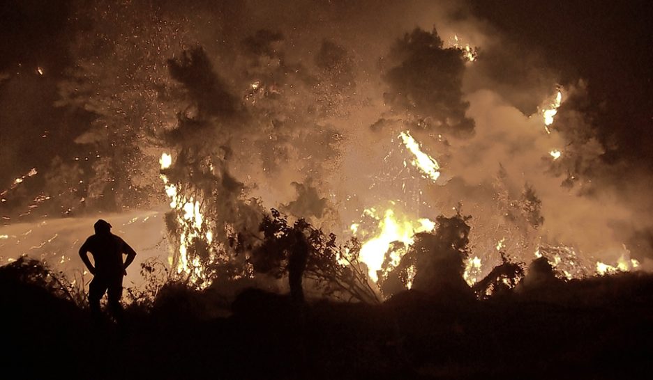 Forêts, des bombes à désamorcer