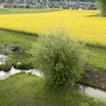 Directives sur les engrais revues