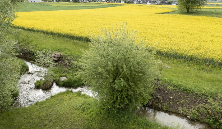 Directives sur les engrais revues