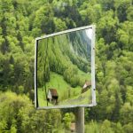 Les appels au secours de la nature