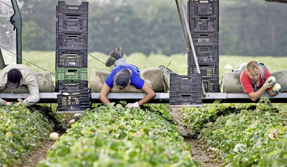 Salaire minimum: un socle à inscrire dans la loi