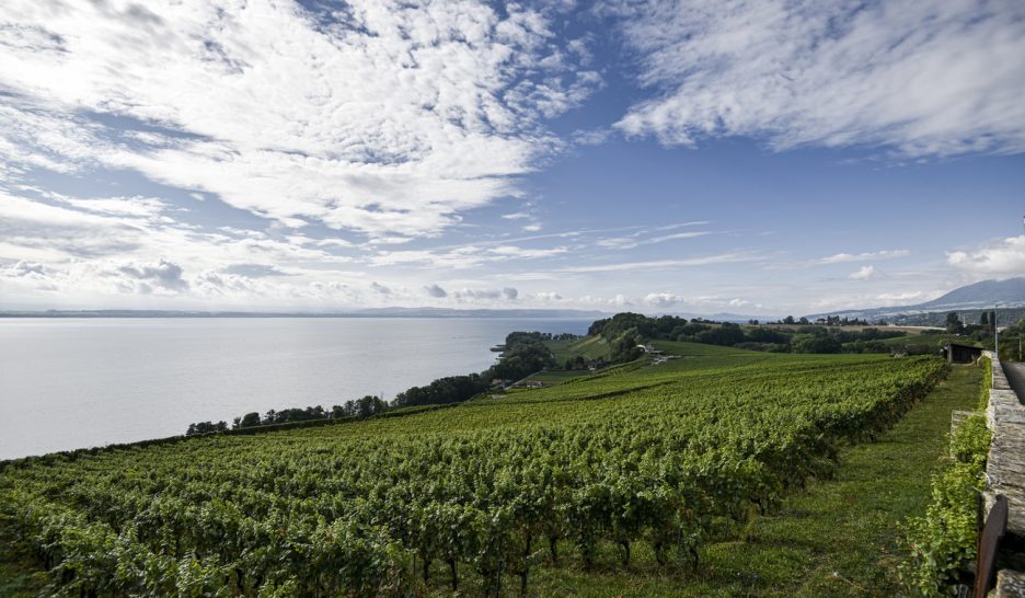 Climat: se préparer au pire